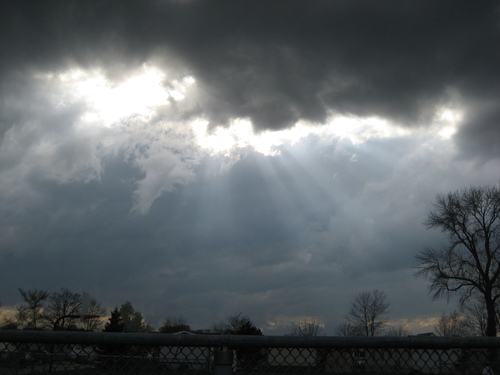New Haven, MI: I was in Quail Run when I took this picture. I love the way the light comes through the clouds.