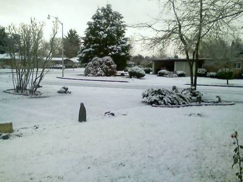 Stayton, OR: Snow day in West town