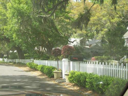 Isle of Hope, GA: Down the lovely Avenue