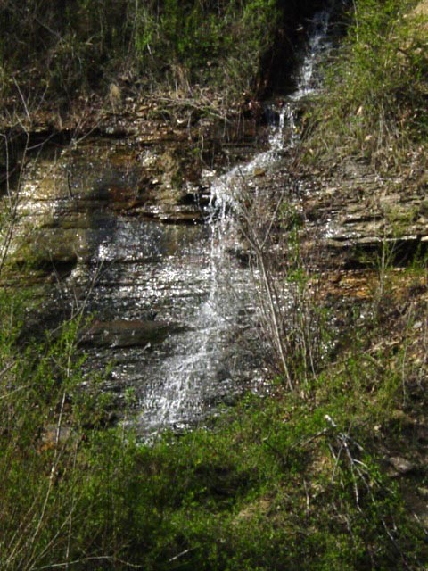 Haysi, VA: This is across the road from the Dollar store in the Spring.