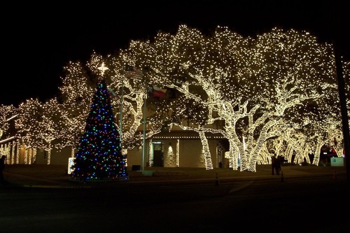 Johnson City, TX: Christmas Lights at Electric Coop