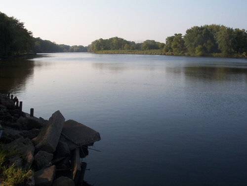 Waverly, IA: Cedar River looking upriver from the V.F.W.