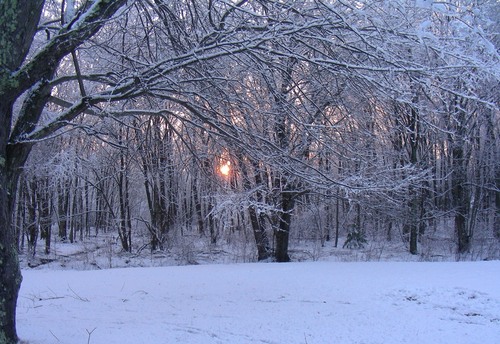 Seekonk, MA: Ice storm at dusk