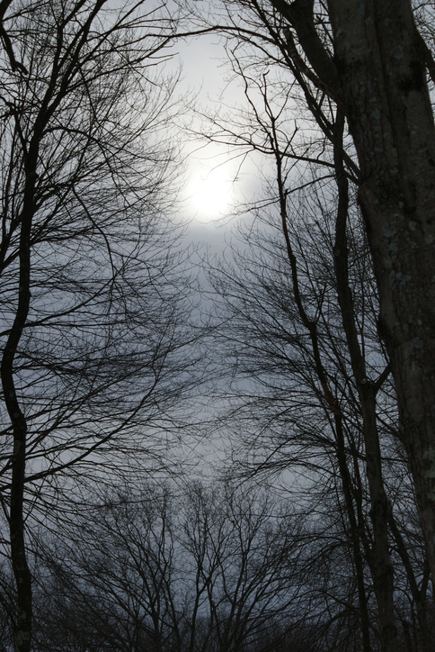 Seekonk, MA: Reach for the Sky