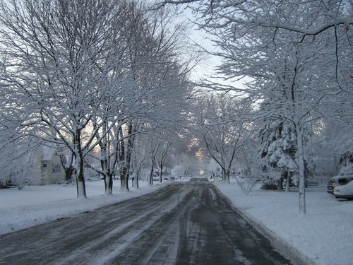 Lombard, IL: Wintry road that has no ending