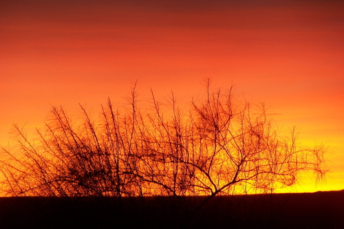 Mesquite, NV: sun set