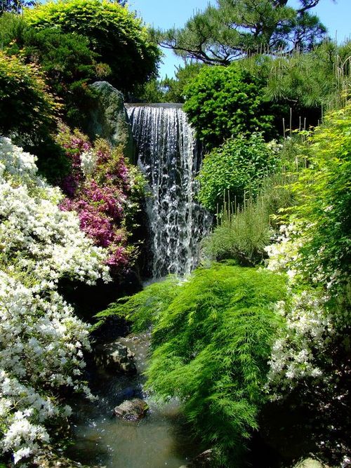 St. Louis, MO: Botanical Gardens