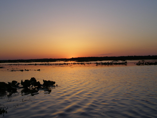 Gainesville, FL: Sunset picture taken from boat on flooded Paynes Prairie