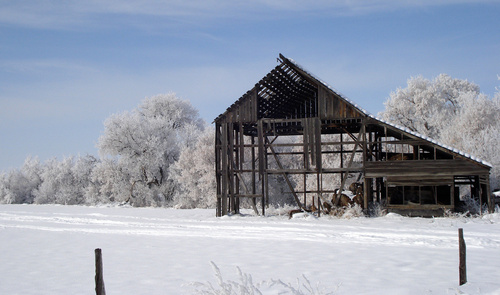 Plain City, UT: Crisp Winter Morning in Plain City, Utah