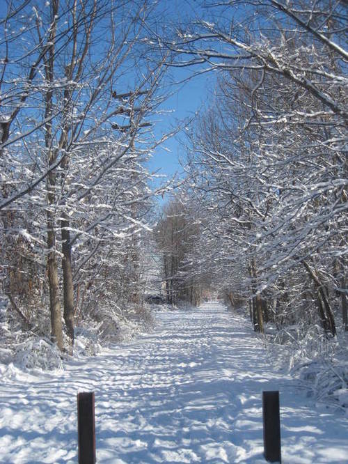 Keyport, NJ: February 2009- Snowy Day on Hudson Trail