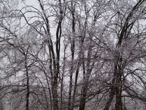 Berea, KY: Winter can be very beautiful in Berea, Kentucky