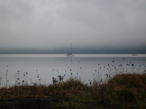 Freeland, WA: Quiet morning in Holmes Harbor