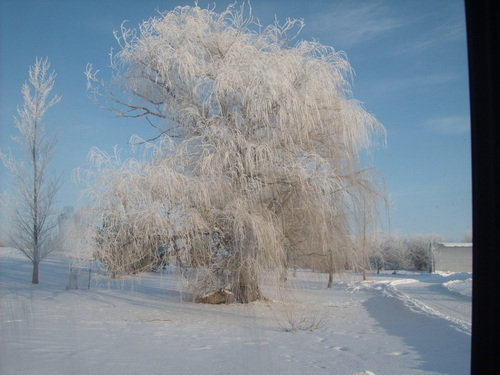 Perry, IA: Morning frost in the country