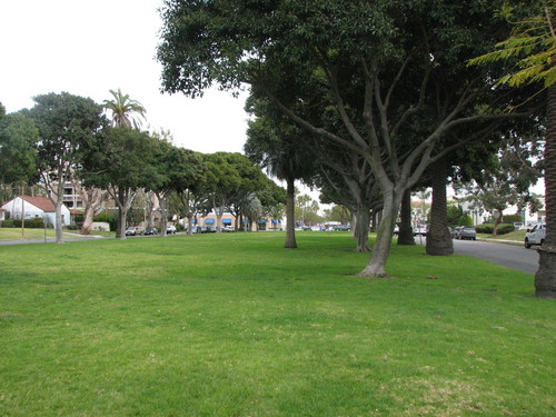 Torrance, CA: Grassy, wide center median strip on Arlington Ave., Old Torrance