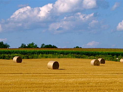 Kiel, WI: Autumn Faming