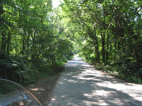 Michiana Shores, IN: Beautiful Woods at Michiana Shores