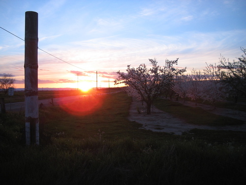Yuba City, CA: Sunset in Sutter County (farm lands)