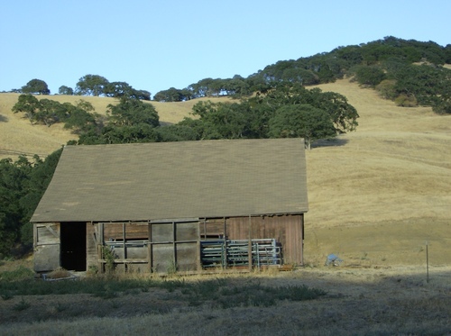 Clayton, CA: A dilapidated shed sitting upon the beautiful lower hills of Mt. Diablo in Clayton, CA