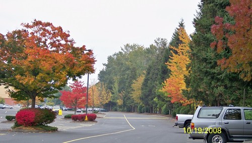 Eugene, OR : Valley River Center, Autumn Backdrop photo, picture, image