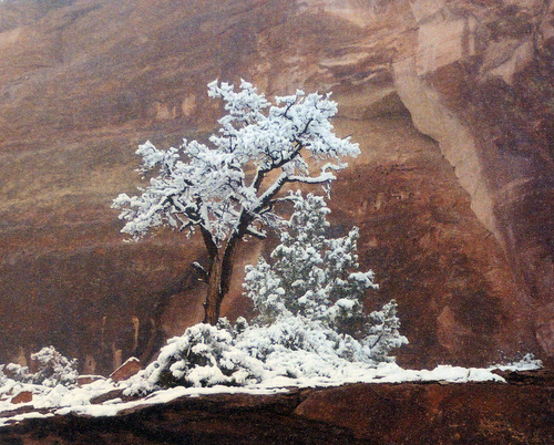 Fruita, CO: Winter in the Colorado National Monument