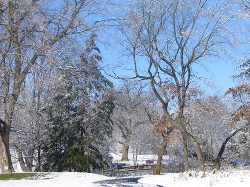 St. Charles, IL: Winter, Delnor Woods