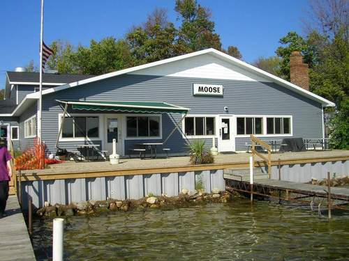 Lake Fenton, MI: Michigan: Moose at Lake Fenton