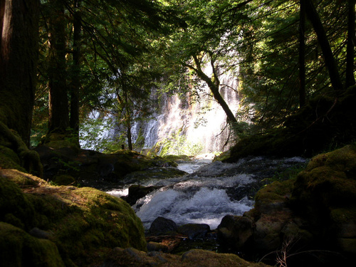 Carson River Valley, WA: Panther Creek Falls - Gifford Pinchot National Forest - Carson, Washington