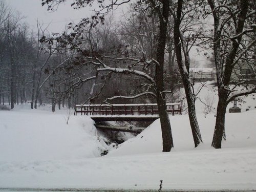 Slippery Rock, PA: This is during the snow storm we had, it's in the park
