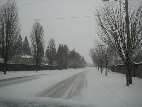 Forest Grove, OR: Gales Creek Hwy just before Tom McCall School in Dec. 2008 Snow Storm
