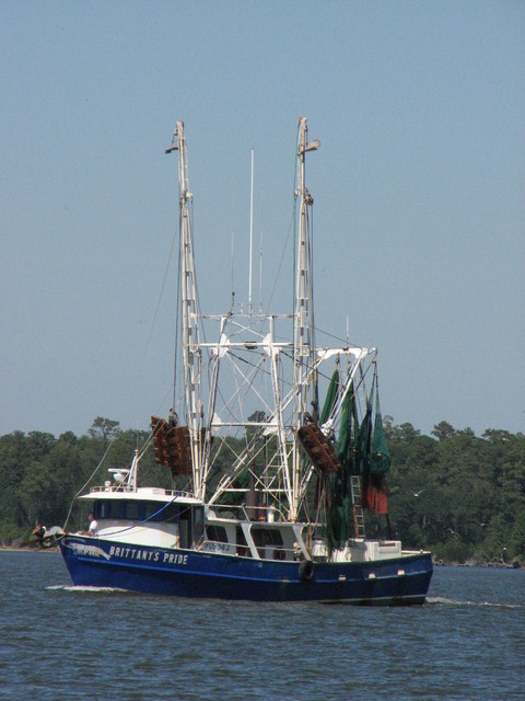 Sneads Ferry, NC: Capt.Timmie Millis