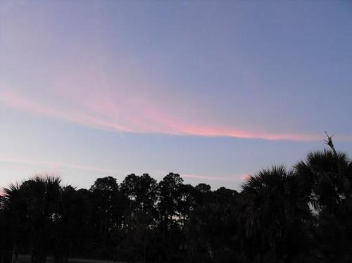 North Port, FL: There hasn't been a morning or evening that's gone by without a beautiful show of colors