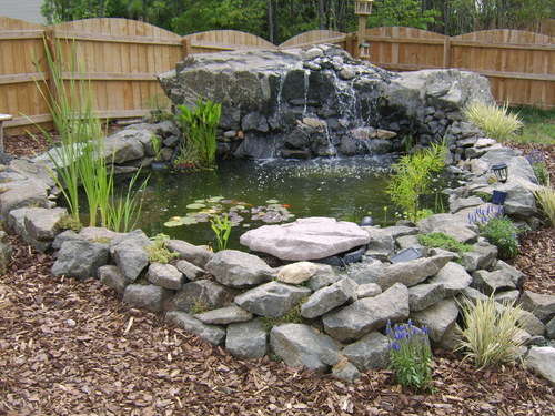 Creedmoor, NC: Koi pond in Creedmoor