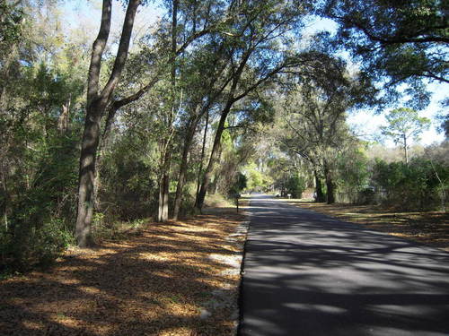 Apopka, FL: back road on busbee ave