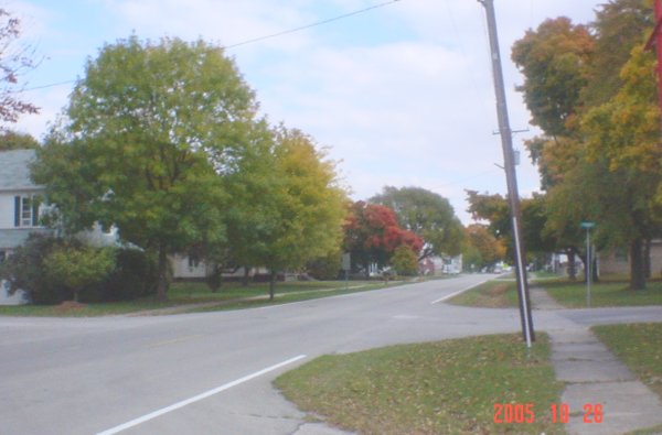 Findlay, IL: Fall foliage on the main street running east/west through town