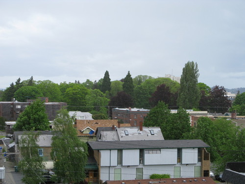 Tacoma, WA: Looking towards the Wright Park