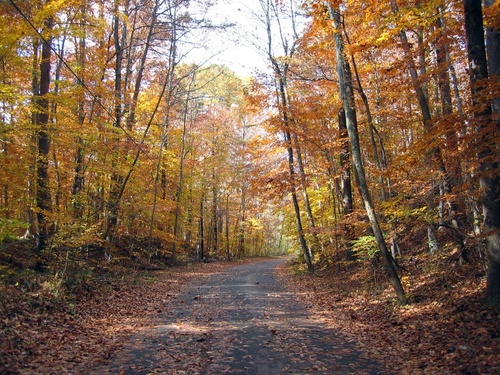 Springfield, VA: Entrance to Lake Accotink in the Fall