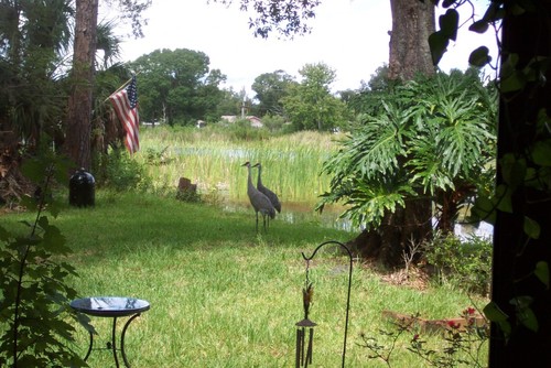 Chuluota, FL: Lake Emerald