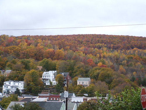 Ashland, PA: This is the view from 9th and Brock Street in the fall in Ashland PA