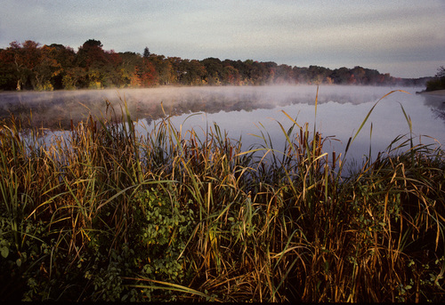 Yaphank, NY: Upper Yaphank Lake, Morning fog, Yaphank, Long Island, NY