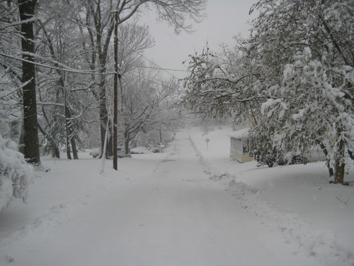 Queenstown, MD: Queenstown winter storm Mar 1-2, 2009