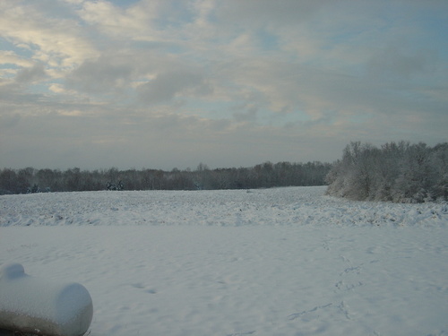 Scotts Hill, TN: Winter Wonderland March 1, 2009