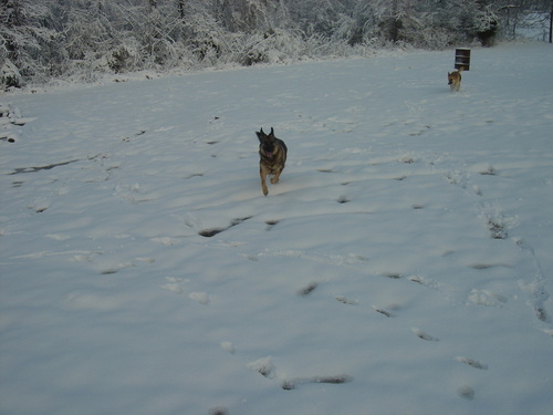 Scotts Hill, TN: Our 2 Girls in the Winter Wonderland March 1, 2009