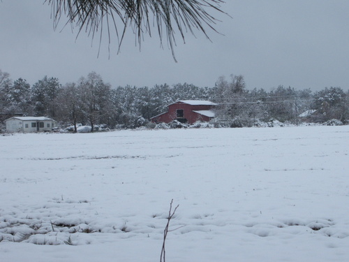 Killian, LA: Snow of 2008