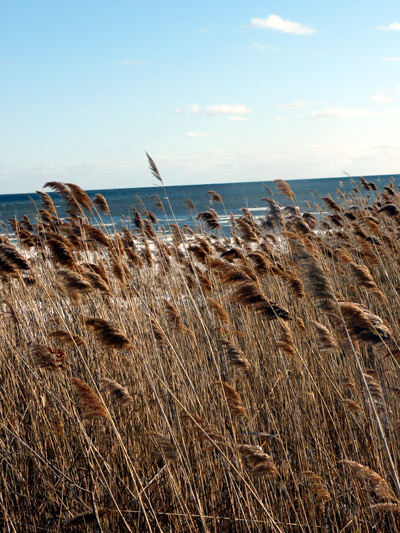 Tawas City, MI: A beautiful day on the Tawas Bay