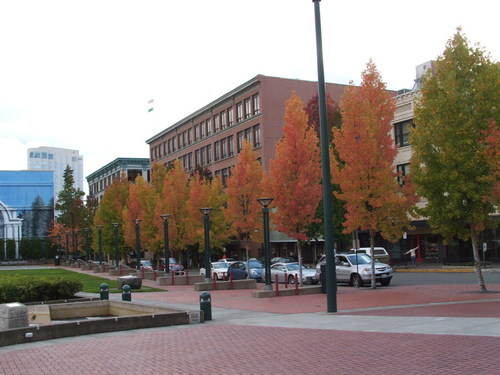 Tacoma, WA: Fall color in a park in Tacoma