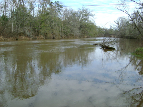 Pearl River, LA: The Pearl River in Louisiana