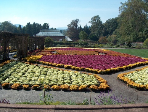 Asheville, NC: Flowers at Biltmore Estate, Asheville, NC