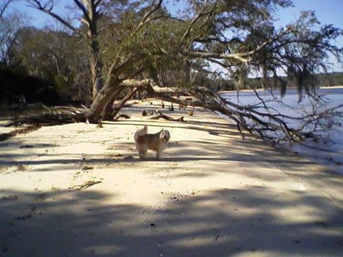 Havelock, NC: A SUNNY WINTER DAY IN THE 70's ON THE NEUSE RIVER IN FEB. PINECLIFFS