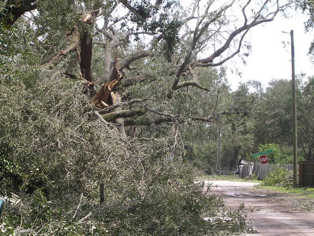 Campbell, FL: Lake Avenue, Campbell City, FL August 15th After some cleanup from HurricaneCharley