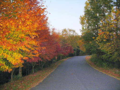 Forest, VA: Autumm Glow One Late Afternoon in Forest , VA